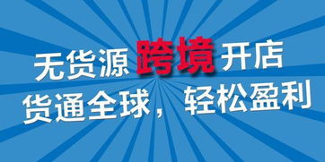 亚马逊ERP系统开发代理与跨境电商无货源店群项目 开启商务代理代办服务新篇章